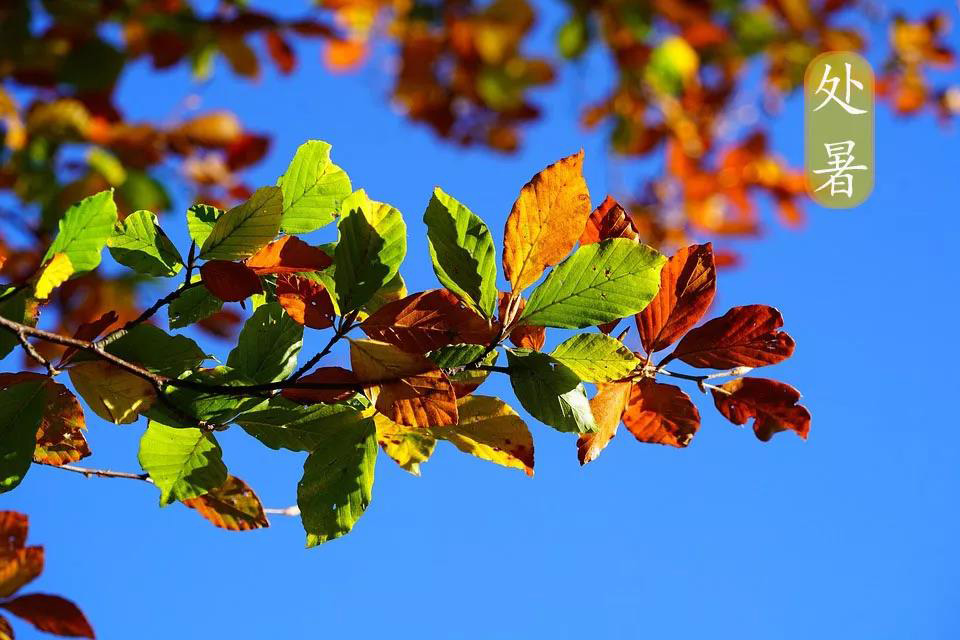 微信圖片_20210825172043